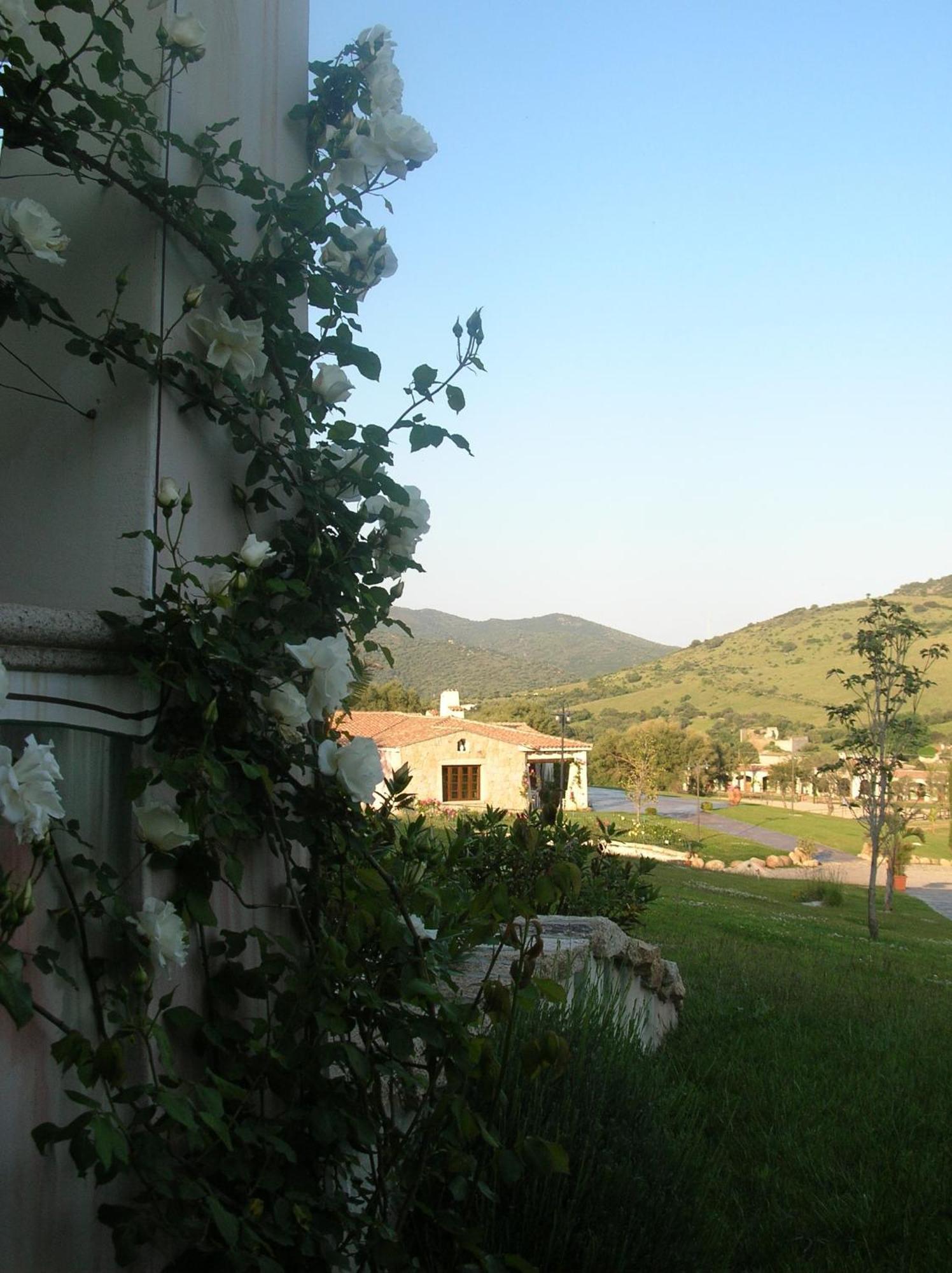 Tenuta Le Terre 1927 Vendégház San Teodoro  Kültér fotó